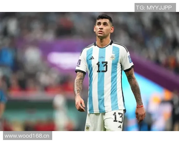 恩佐与罗梅罗重聚国家队兄弟情深共享马黛茶时光