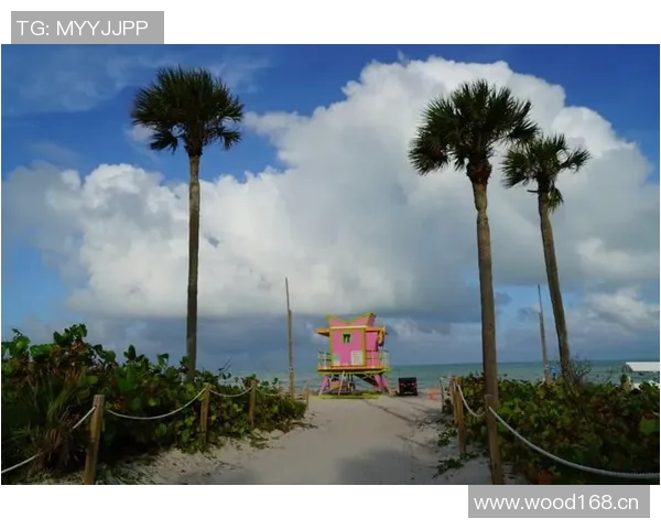 德里克奎因表现抢眼13号秀高效砍下15分6板2帽并导致文班六犯